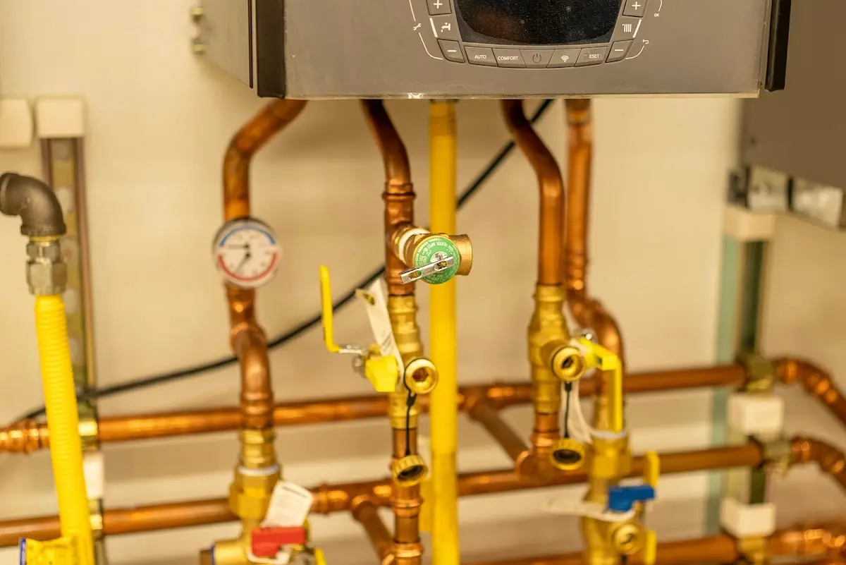 Licensed technician providing Sewer Cleanout for a homeowner in South Laurel